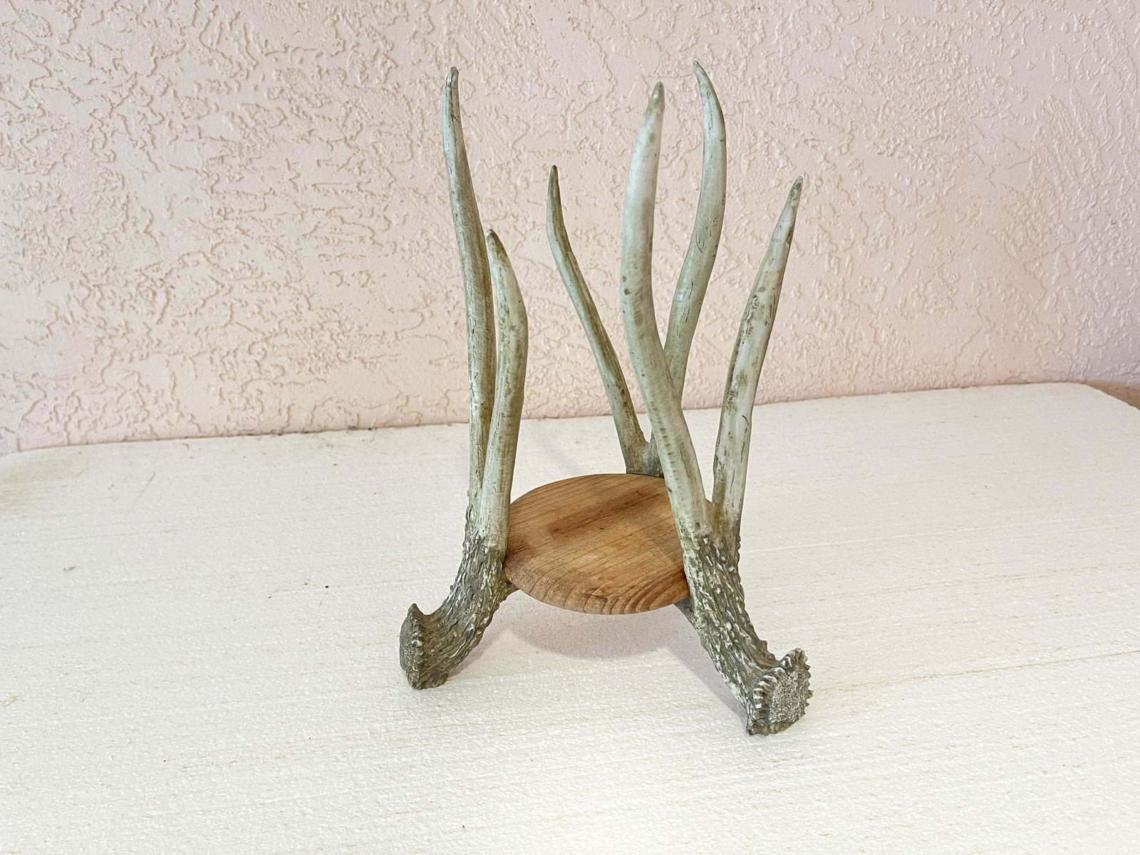 REAL ANTLER VASE HOLDER (1 of 3)
