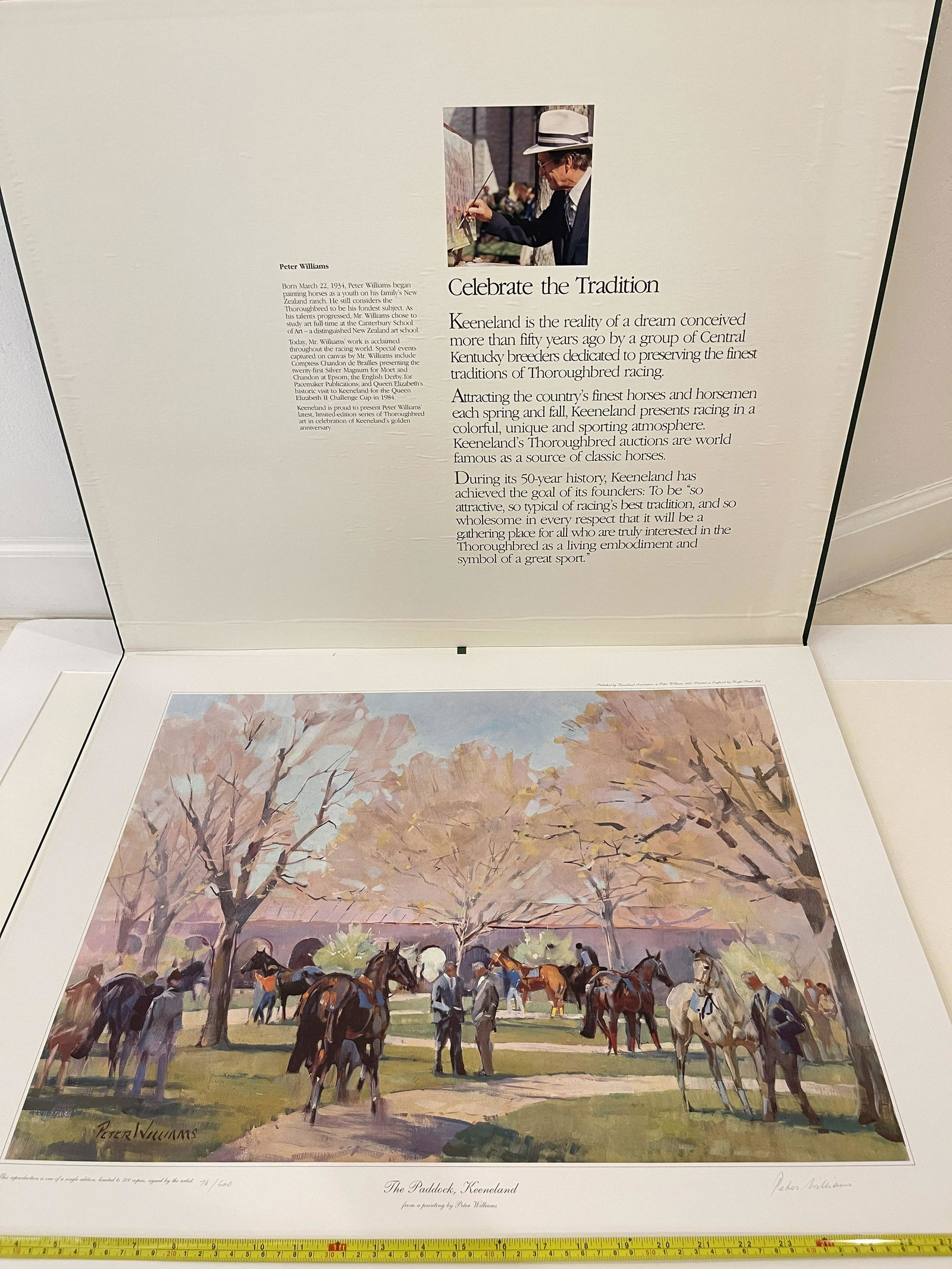 SIGNED & NUMBERED PETER WILLIAMS - THE PADDOCK (1 of 6)