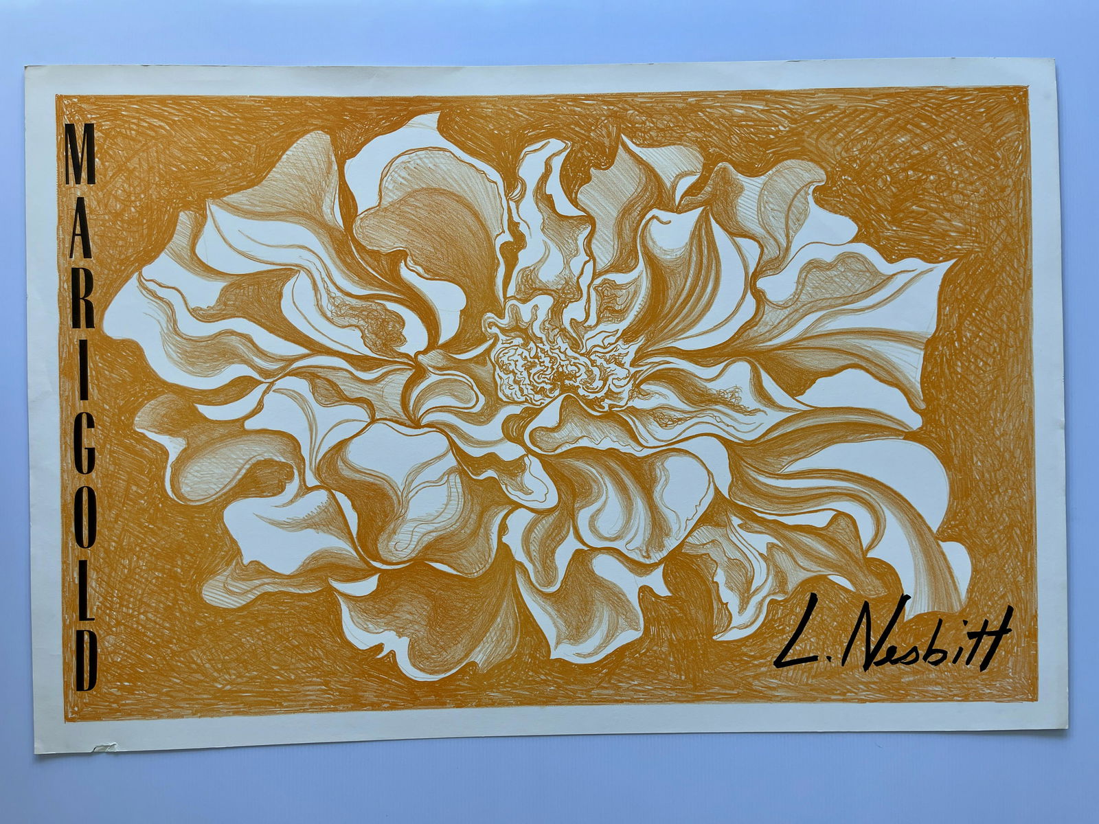 MARIGOLD - L. NESBITT (1 of 1)
