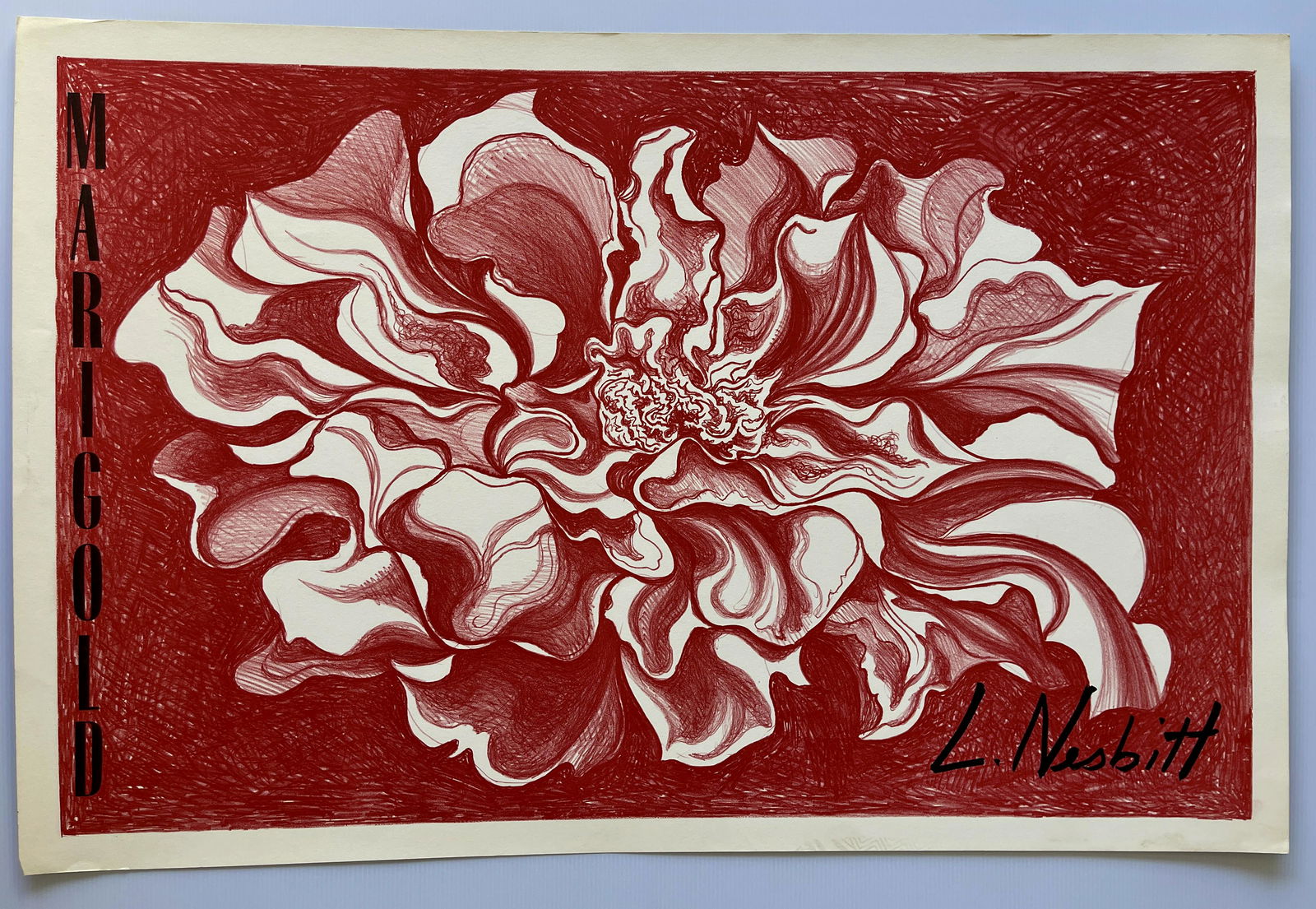 MARIGOLD - L. NESBITT (1 of 1)