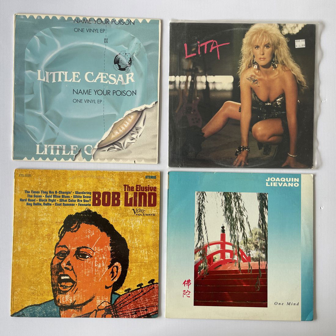 SET OF 4 ALBUMS WITH LITA AND LIEVANO (1 of 1)