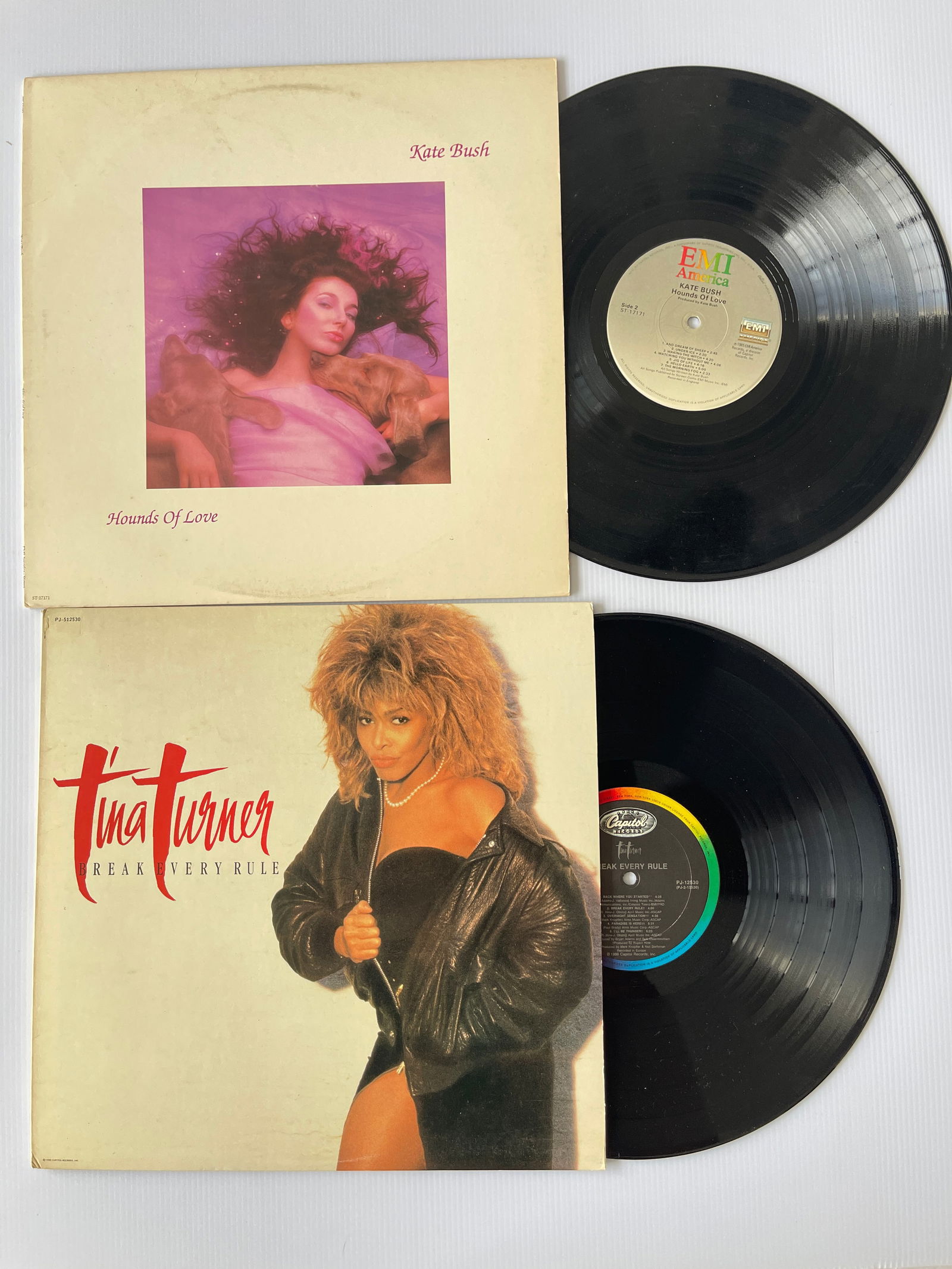 KATE BUSH & TINA TURNER (1 of 1)