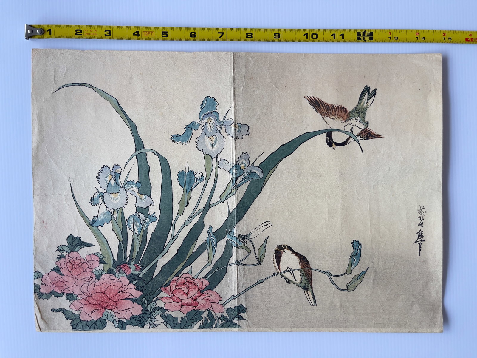 Ukiyo-e Woodblock - 1800s - KATSUSHIKA HOKUSAI - GRASSHOPPER ON IRIS: Ukiyo-e Woodblock - 1800s - KATSUSHIKA HOKUSAI - GRASSHOPPER ON IRIS. About 15” wide.