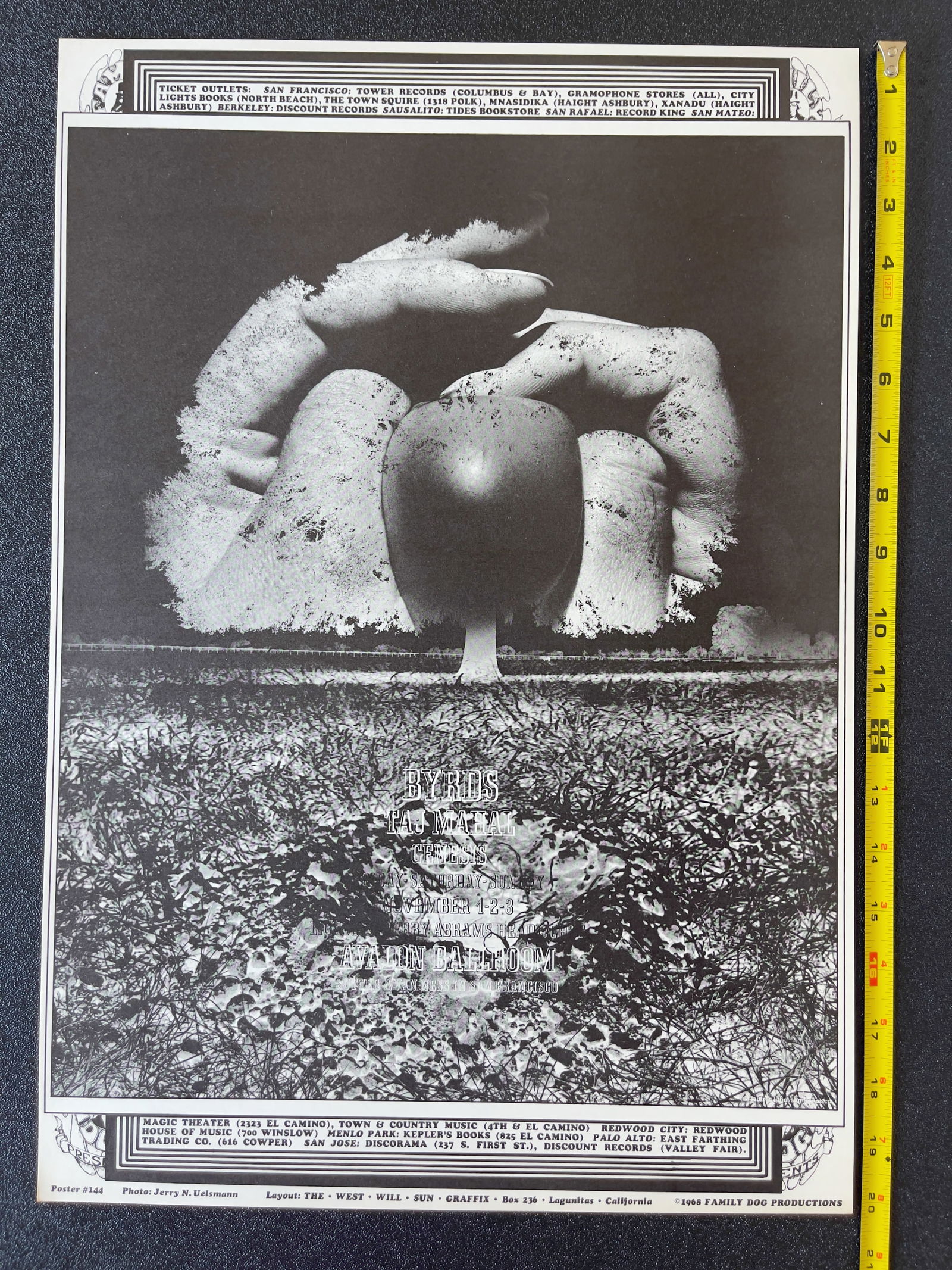 FD144 - The Byrds - 1968 - 1ST - The West Will Sun Graffix Jerry N. Uelsmann (1 of 1)