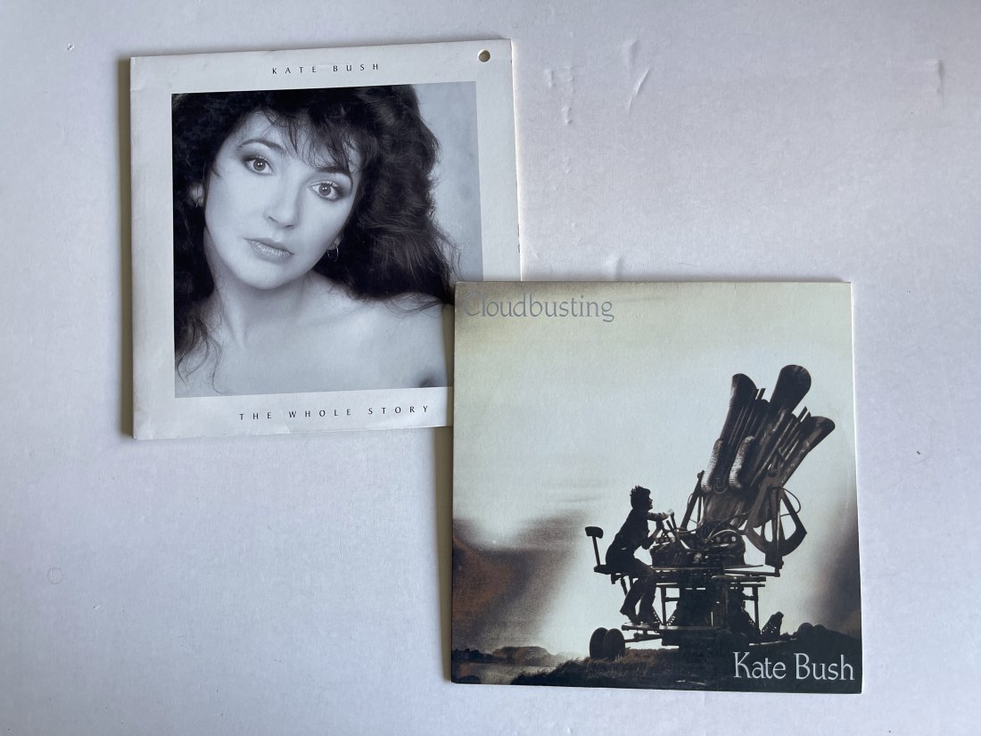 TWO KATE BUSH ALBUMS WITH CLOUDBUSTING: TWO KATE BUSH ALBUMS WITH CLOUDBUSTING