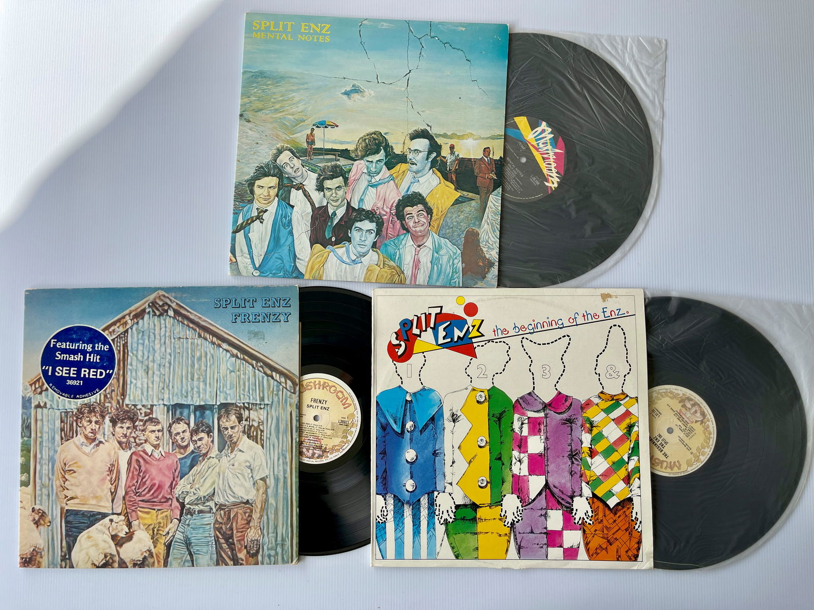 SPLIT ENZ WITH MENTAL NOTES ($40!) (1 of 1)