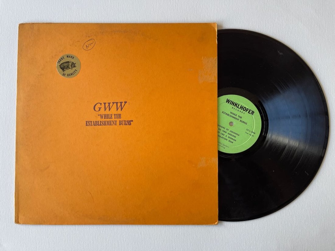 BOB DYLAN BOOTLEG #7 - GWW WHILE THE ESTABLISHMENT BURNS (1 of 1)