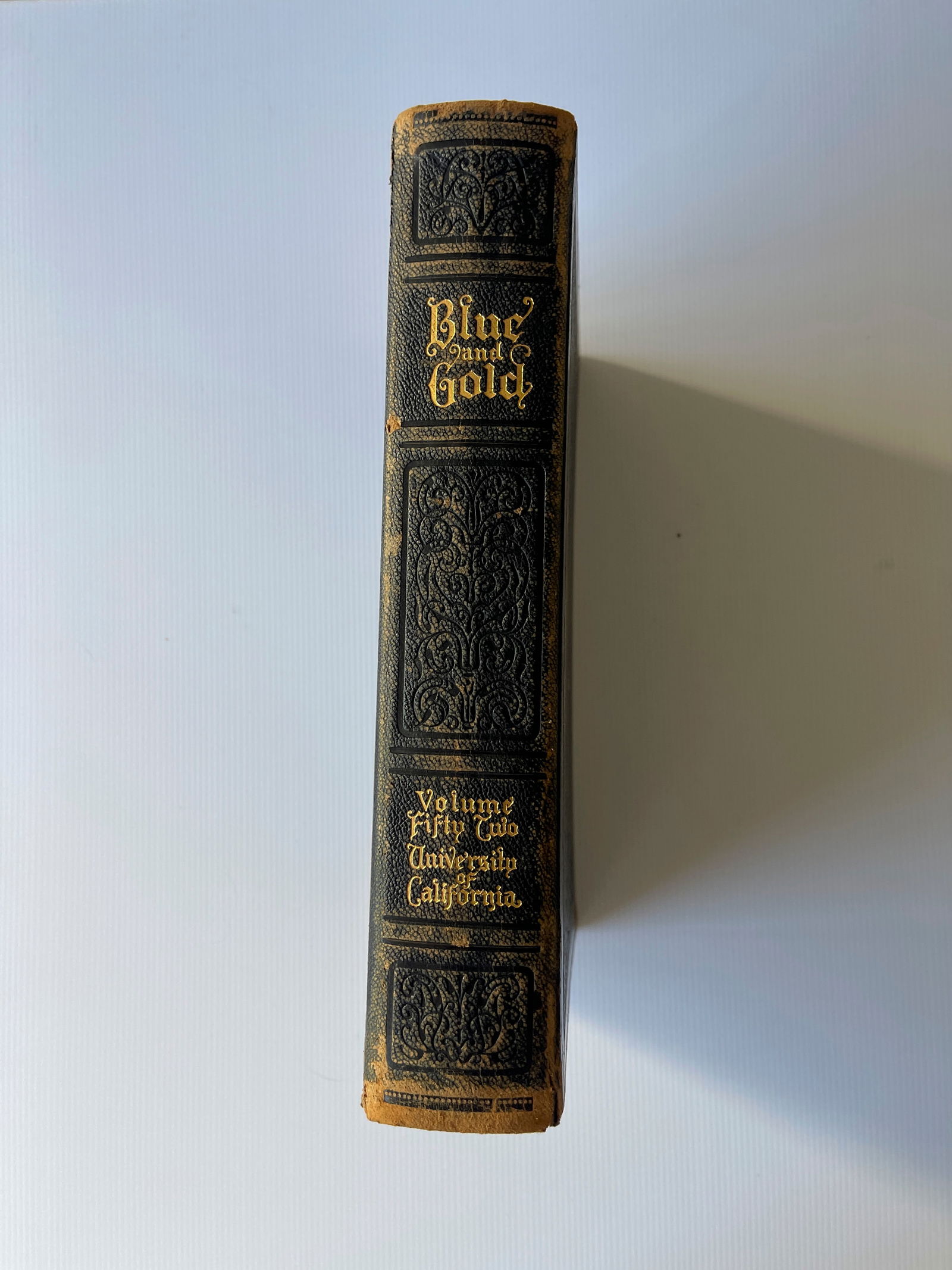 UNIVERSITY OF CALIFORNIA BERKELEY 1925 YEARBOOK - FAMOUS NAMES ! (1 of 9)