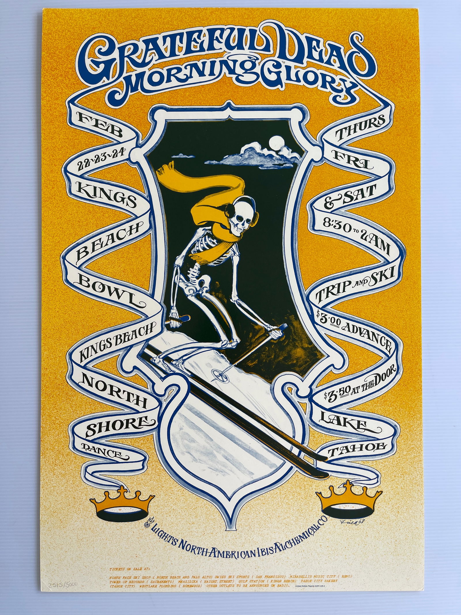 DEAD - MORNING GLORY 2nd - yellow (1 of 1)