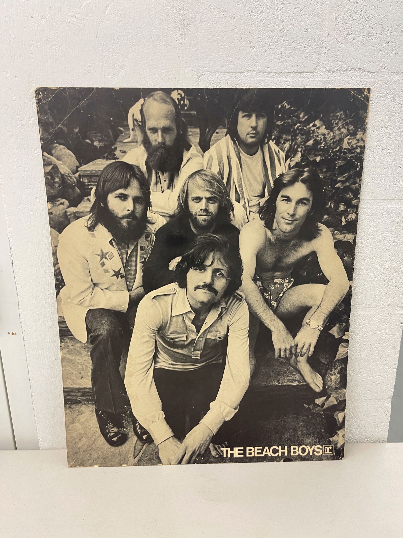 THE BEACH BOYS REPRISE RECORDS STORE PROMO (1 of 1)