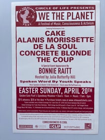 WE THE PLANET - A FESTIVAL OF MUSIC - CAKE AND MORE