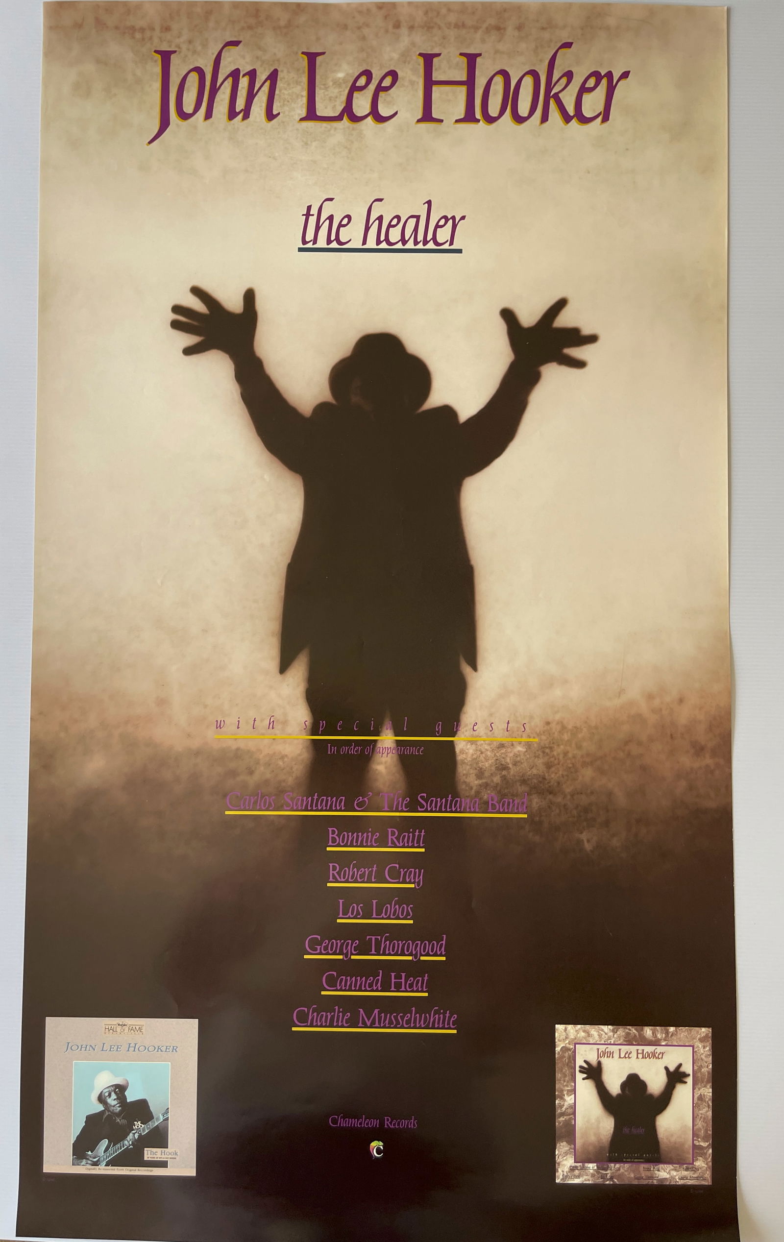 JOHN LEE HOOKER - THE HEALER - RECORD STORE PROMO (1 of 1)