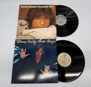 DAVID / SHAUN CASSIDY