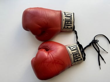 LARRY HOLMES SIGNED EVERLAST BOXING GLOVES