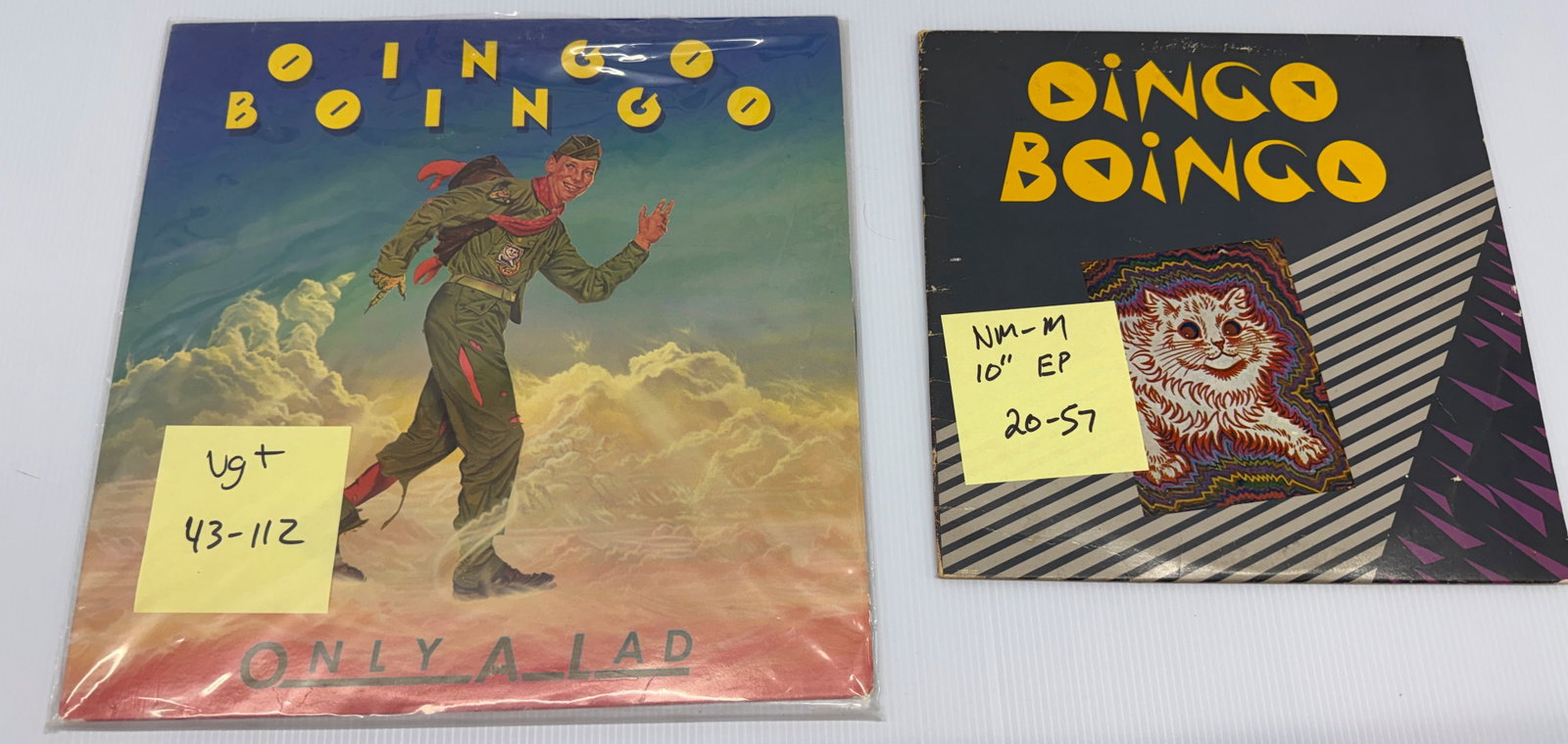 OINGO BOINGO SET: OINGO BOINGO SET