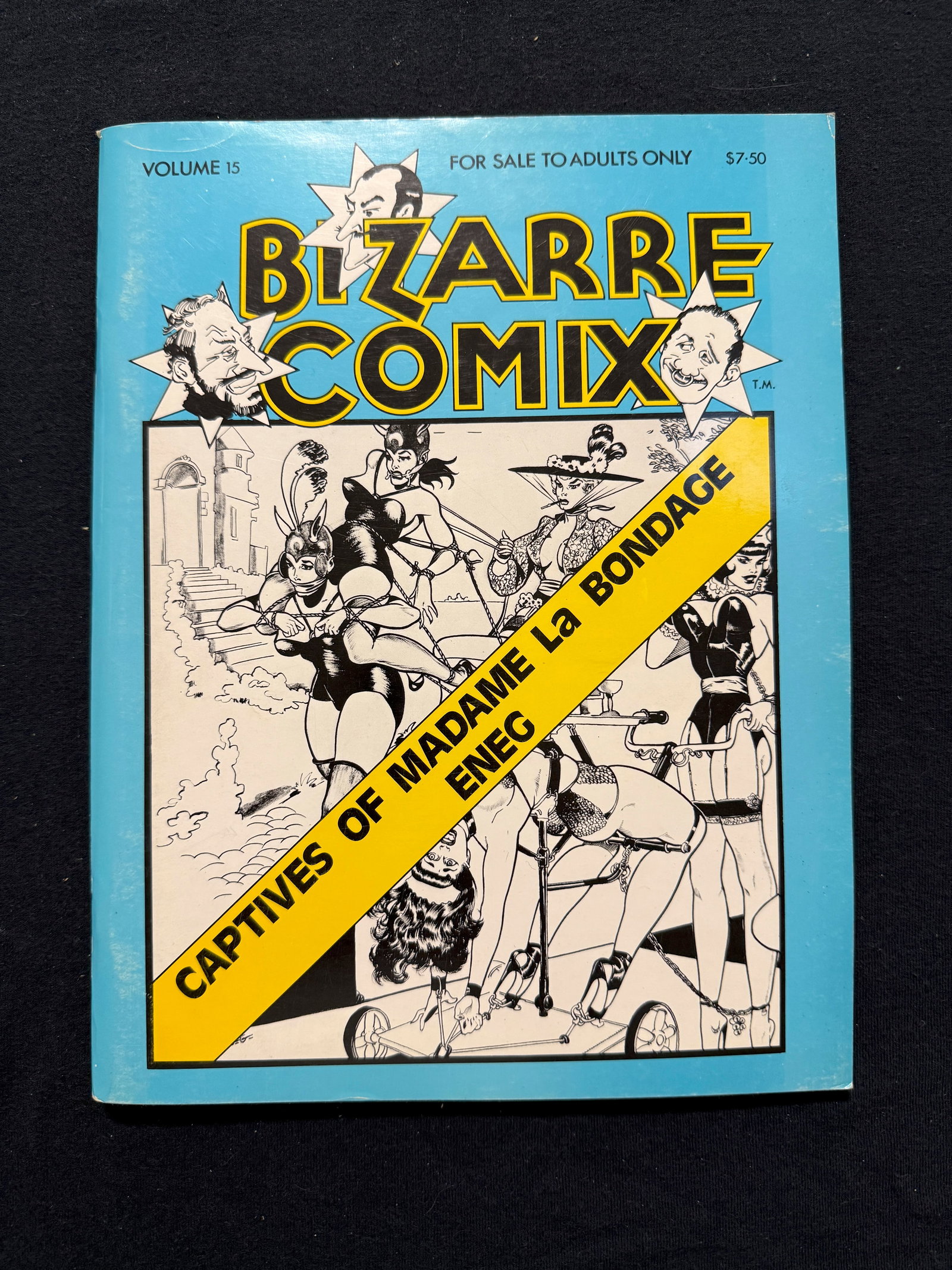 BIZARRE COMIX #15 - 1982: "Bizarre Comix" is primarily known as a volume title used for reprints of adult-themed, often bondage-focused, illustration and comic work by artist Eric Stanton. These works were self-published by St
