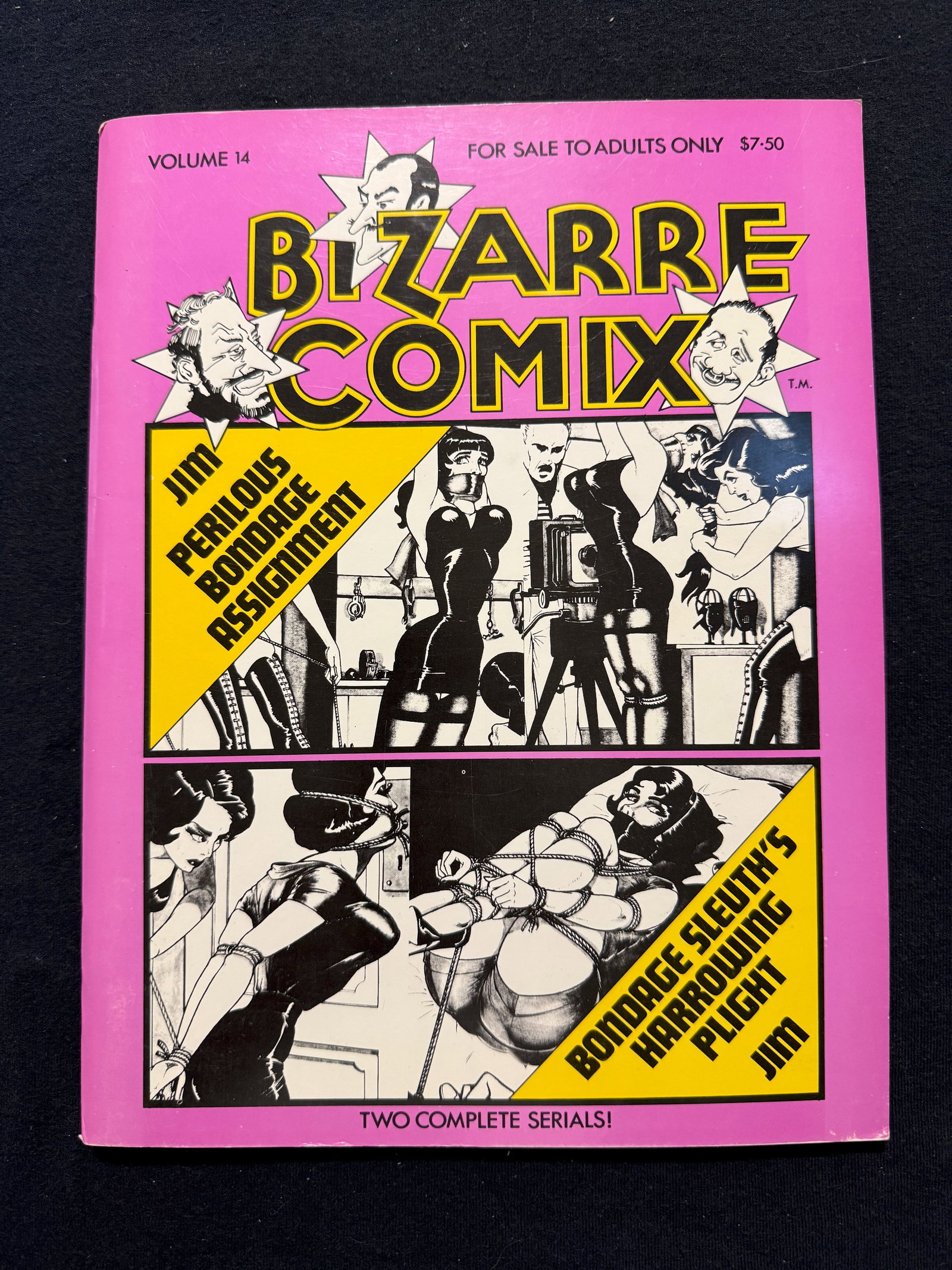 BIZARRE COMIX #14 - 1982: "Bizarre Comix" is primarily known as a volume title used for reprints of adult-themed, often bondage-focused, illustration and comic work by artist Eric Stanton. These works were self-published by St