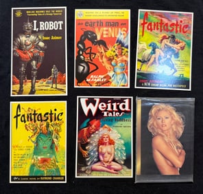 12 VINTAGE PULP FICTION / ADULT POSTCARDS