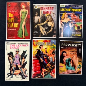 12 VINTAGE PULP FICTION / ADULT POSTCARDS