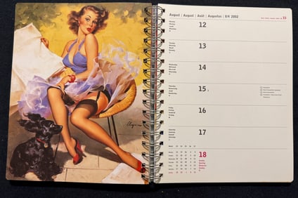 ELVGREN PIN-UPS DAILY DIARY - DAYTIMER BOOK