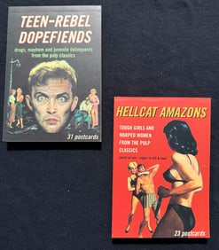 TEEN REBEL AND HELLCAT AMAZONS ADULT POSTCARD BOOKS - 54 CARDS
