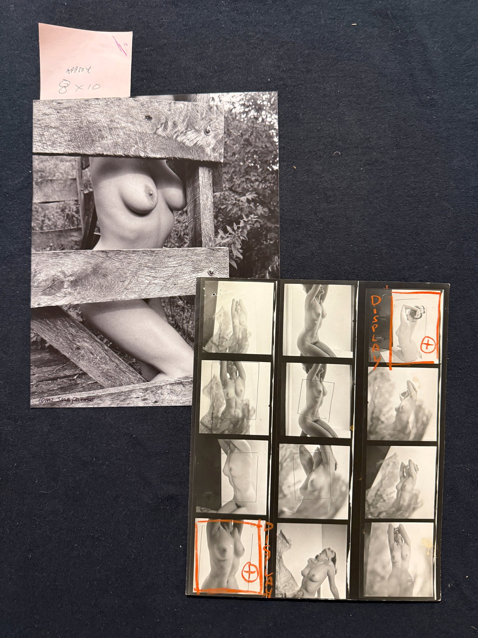 PETER BASCH RARE CONTACT SHEET: PETER BASCH RARE CONTACT SHEET. 1992 JAMES FALKOFSKE STUDIO NUDE. MODEL ANDREA GERASIMO. THREE ITEMS IN ALL. Keywords: Sex. Porn. PORNOGRAPHY. Sexy.