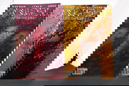 Angel: After the Fall #1-23 with VARIANTS