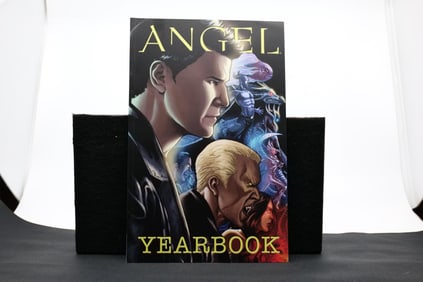 ANGEL: Yearbook The final Angel comic published by IDW Publishing