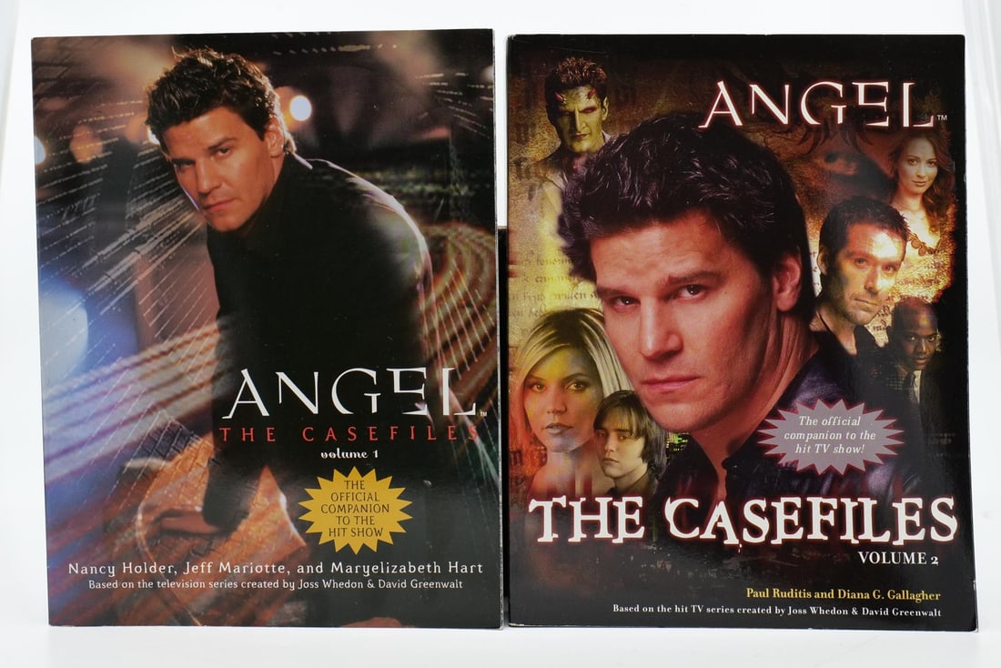 ANGEL THE CASEFILES VOL. 1-2. PAPERBACK NOVE SET (1 of 1)