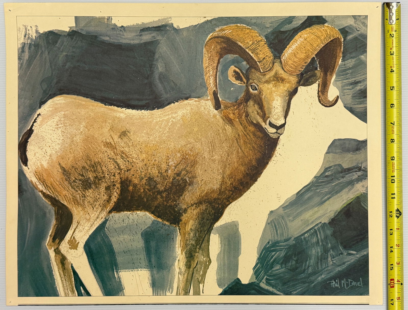 Phil McDonnel - Calendar art for Ram Graphics 1978: The image provided is a painting of a bighorn sheep (likely a ram). The artwork is a litho of an original painting. Artwork Details Subject: A bighorn ram, easily identifiable by its large, thick,