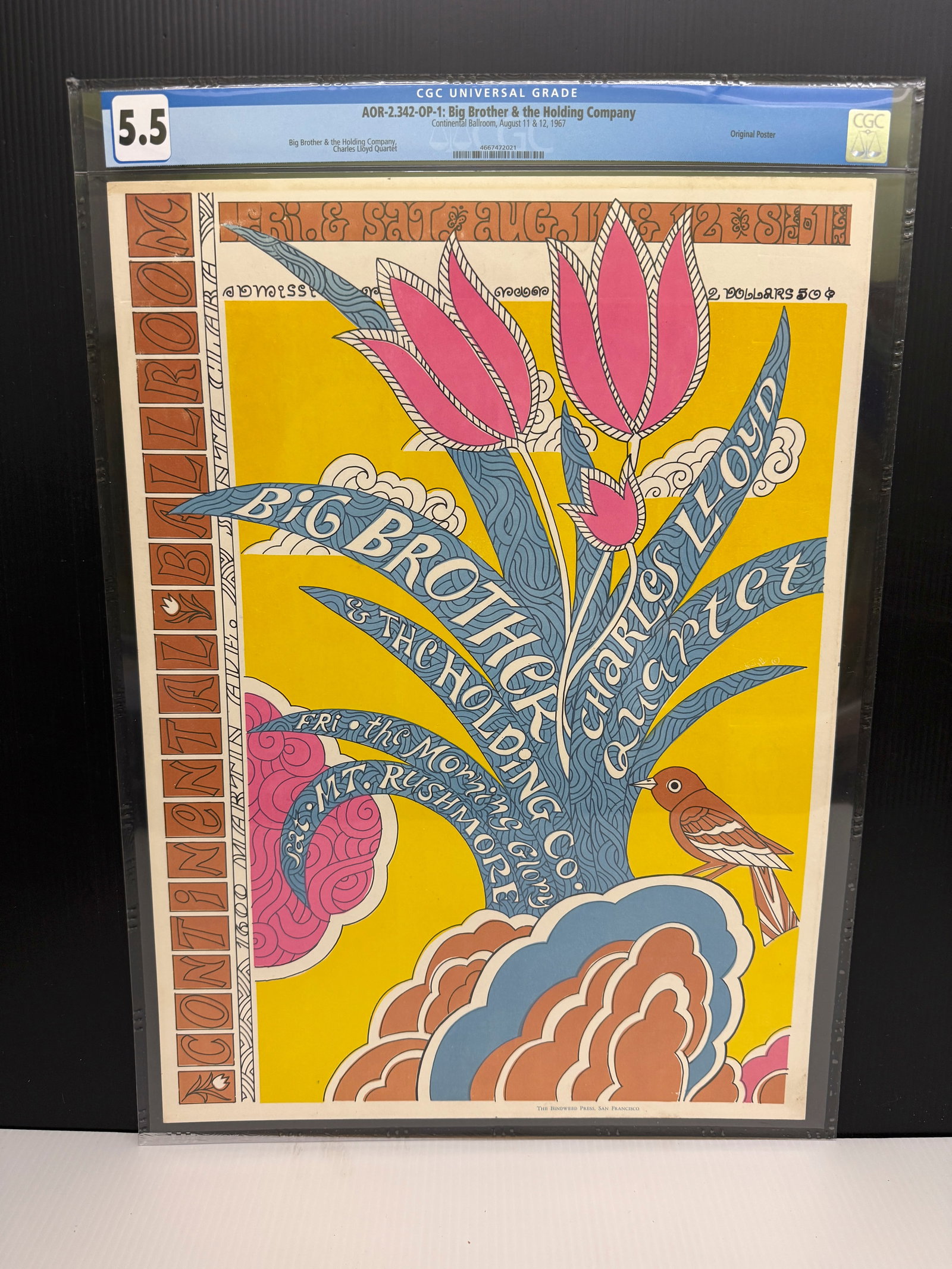 AOR 2.342 - 1ST - BIG BROTHER - GRADED 5.5: AOR 2.342 - 1ST - BIG BROTHER - GRADED 5.5. CONTINENTAL BALLROOM