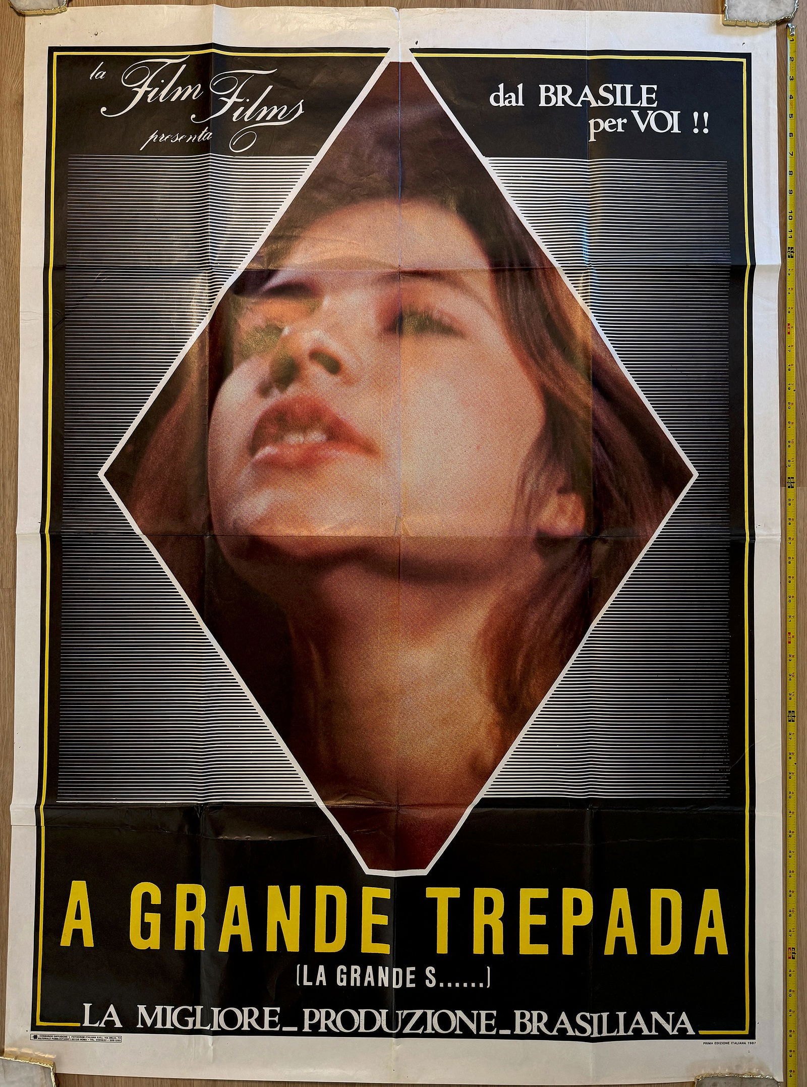 HUGE SUBWAY SIZE POSTER - THE GREAT CLIMB - 1987 BRAZIL VERSION: HUGE SUBWAY SIZE POSTER FOR THE AMERICAN MOVIE CALLED: THE GREAT CLIMB. THIS IS THE ITALIAN / BRAZIL VERSION. 54" TALL. TEXT READS: from Brazil for you.