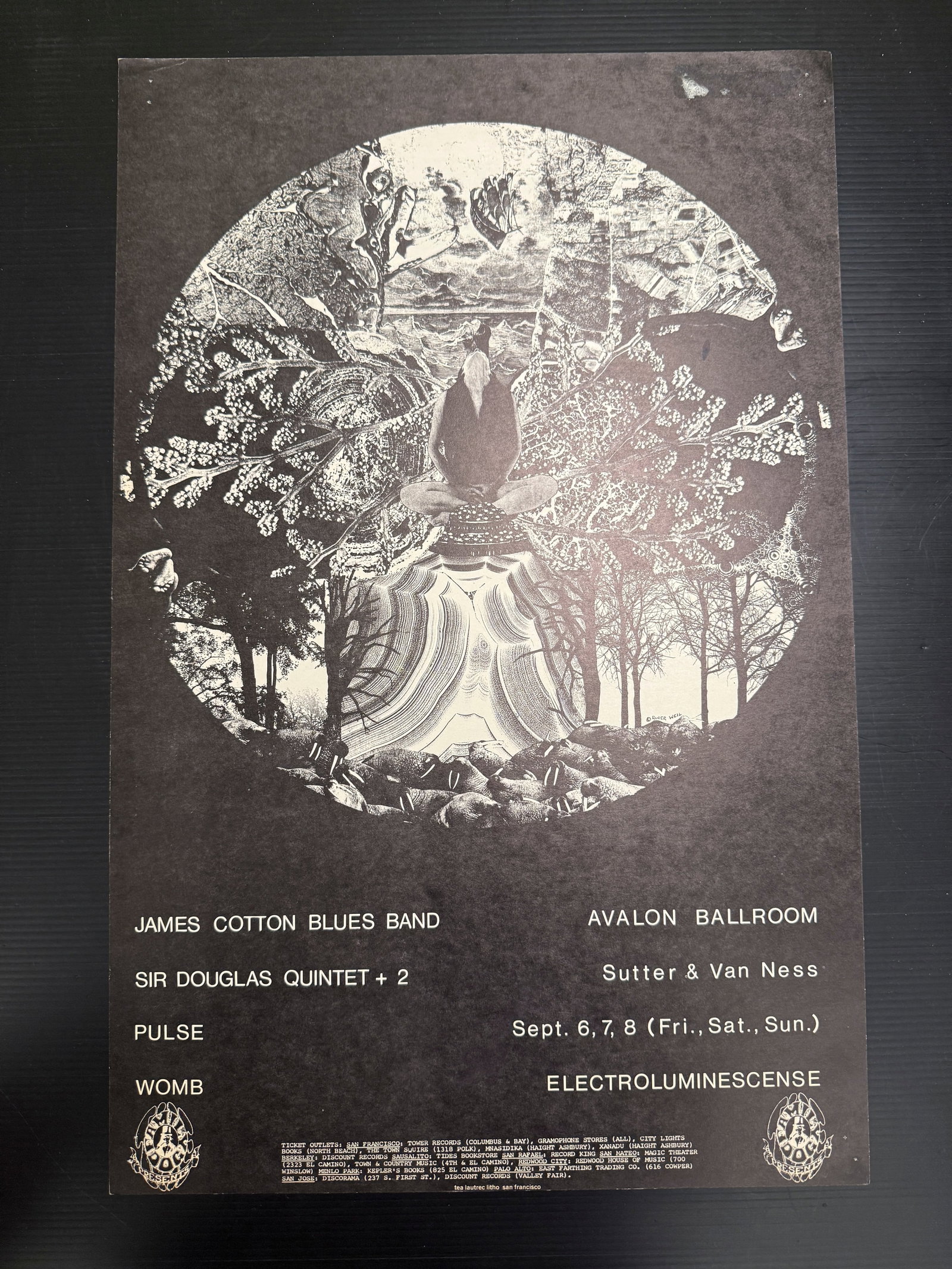 FD136 - JAMES COTTON - 1ST (1 of 1)