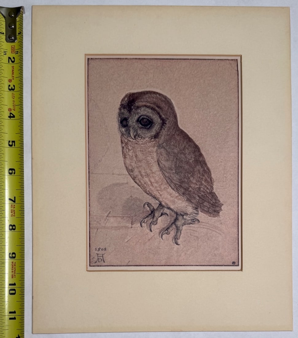 Albrecht Dürer’s - The Little Owl: This is a vintage framed print of Albrecht Dürer's "The Little Owl" (Käuzchen), originally created in 1506. Marked with Durer stamp D57 on reverse - Printed in Austria. Artwork: The image is a