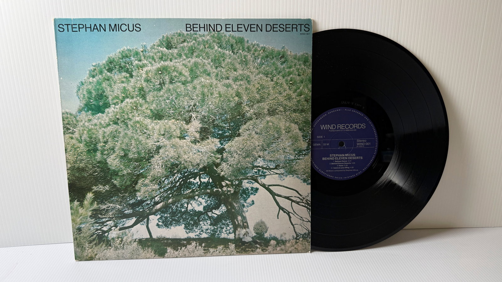 STEPHAN MICUS - BEHIND ELEVEN DESERTS (1 of 1)