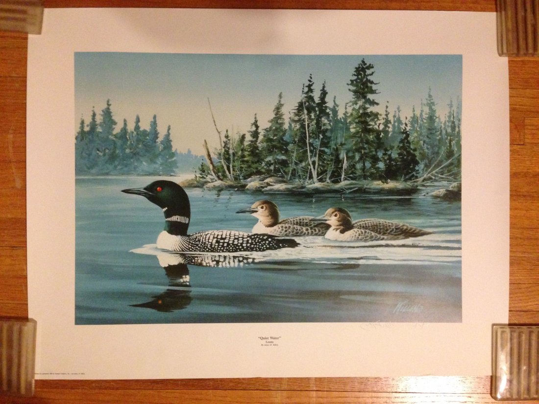 QUIET WATERS - LOONS by artist James H. Killen: QUIET WATERS - LOONS by artist James H. Killen. Signed and dated 9/29/1988. Printed by Olympic Graphics 1988. About 25â€ x 20â€.