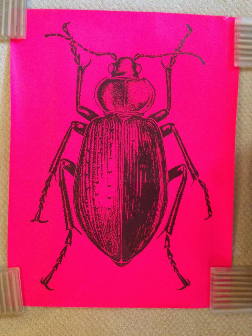 COOL BEETLE POSTER - NOT BEATLES.: COOL BEETLE POSTER - NOT BEATLES. PINK BLACKLIGHT.