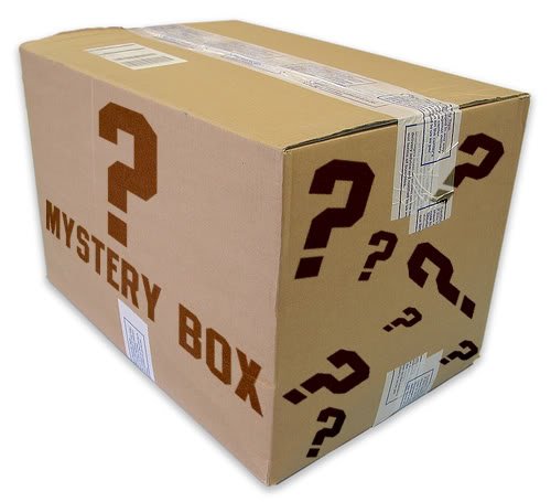 MYSTERY BOX - MUST ATTEND LIVE AUCTION TO LEARN CONTENT (1 of 1)