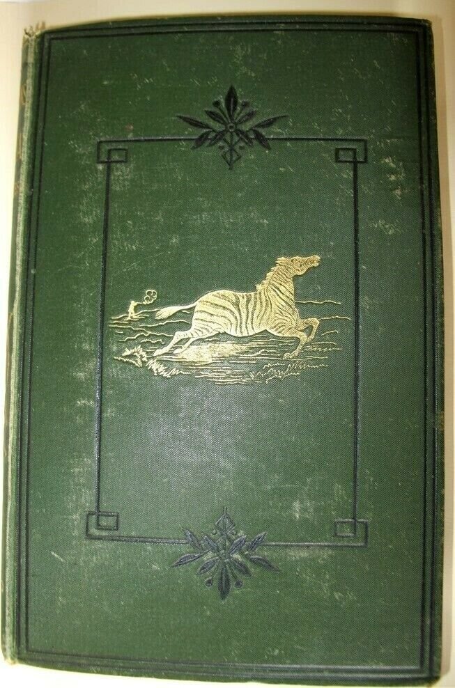 THOMAS BAINES - GOLD REGIONS OF SOUTH EASTERN AFRICA c1877 RARE 1st Ed. Map Intact (1 of 6)