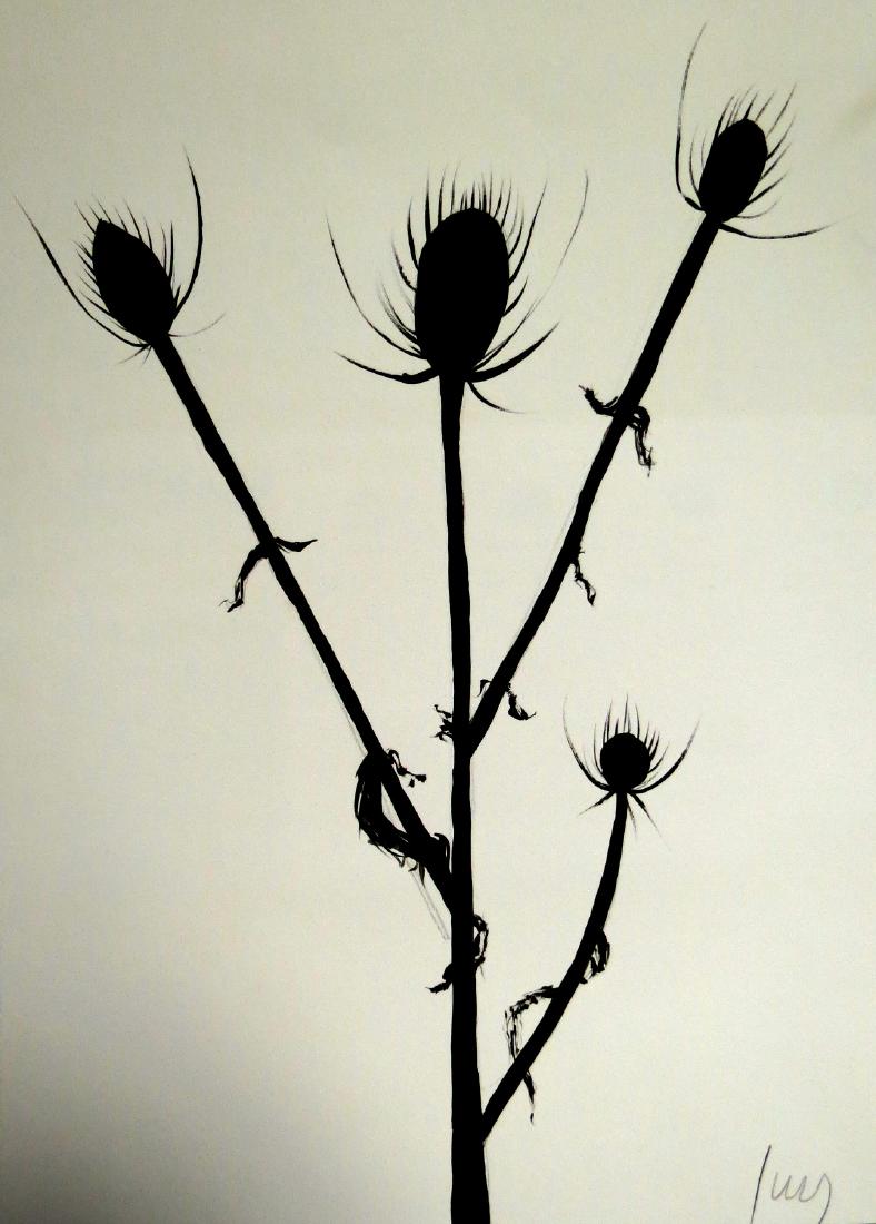 Ellsworth Kelly - Ink on paper - w/COA 12" x 9" (1 of 4)