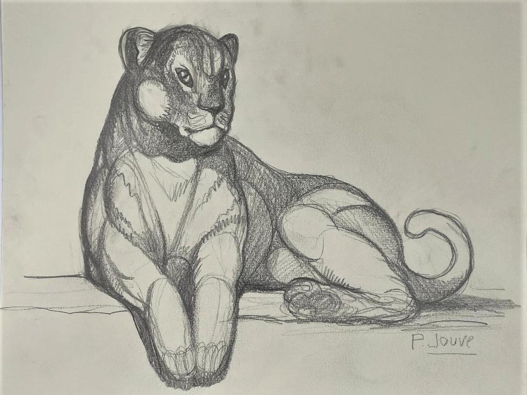 Paul Jouve Pencil on Paper 11" x 13" Unframed w/ Prov: Provenance Estate from Argentina - Shipping in USA $ 15. Pierre-Paul Jouve was a French painter and sculptor. He was notable for his paintings and sculptures of Africa's animals. He was first recipien