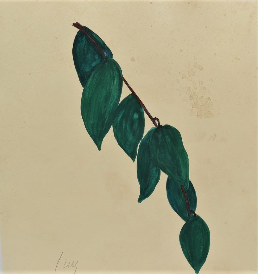 Ellsworth Kelly Gouache on Paper 11.5" x 11" No COA (1 of 4)