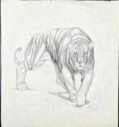 Paul Jouve Pencil on Paper "Tiger" 13" x 12" Unframed: Shipping in USA25. Pierre-Paul Jouve (Marlotte, Seine-et-Marne, 16 March 1878 - Paris, 13 May 1973) was a French painter, sculptor. and illustrator. He was notable for his paintings and sculptures of