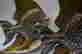 item-131159282=4