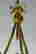 item-131159296=4