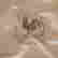 item-131159340=4