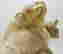 item-136504191=2