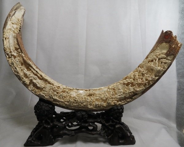 Magnificent Hand Carved Mammoth Ivory Tusk: Signed by Master Carver, this amazing and rare tusk is very large (160cm parabolic curvature) and carved with exquisite detail. Please see all pictures. Carved wood base. 64" long - 5"Dia --- Est. shi