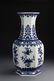 Chinese Blue And White Vase