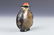 Chinese Peking Glass Snuff Bottle - 5